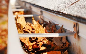 Craghead gutter cleaning companies
