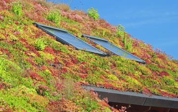 Craghead living roof systems